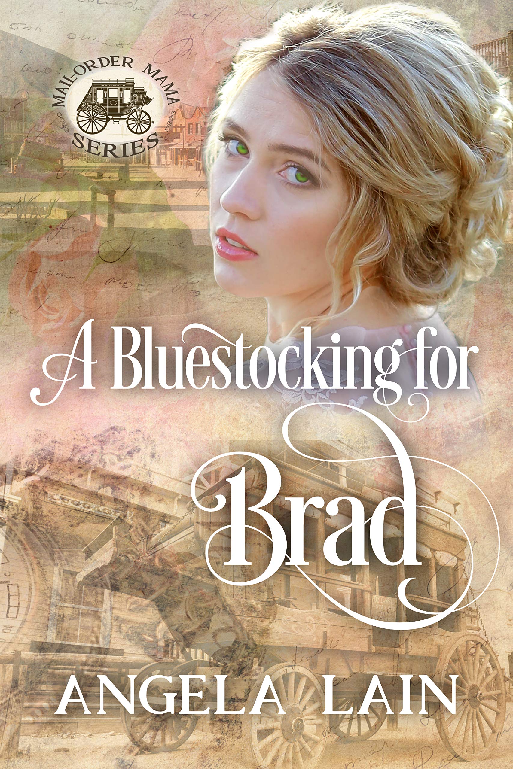 A Bluestocking for Brad book cover