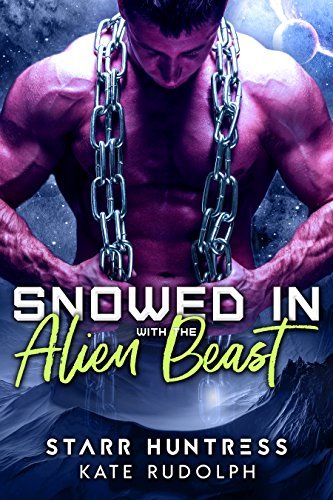 Snowed In With... book cover 3