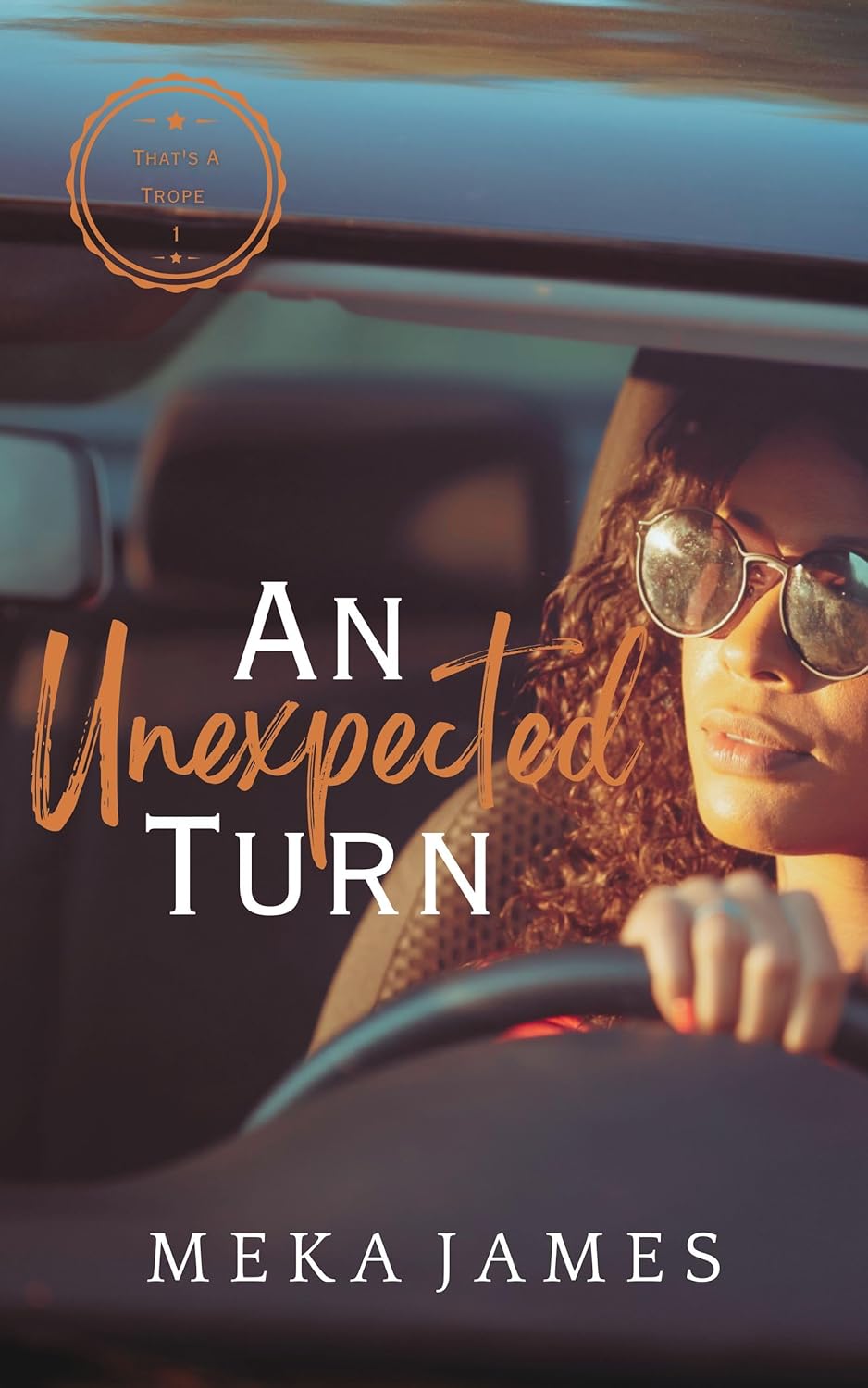 An Unexpected Turn book cover