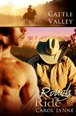 Rough Ride book cover