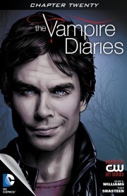 The Vampire Diaries #20 book cover
