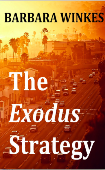 The Exodus Strategy book cover
