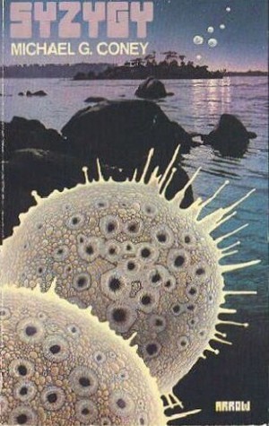Amorphs Universe book cover 2