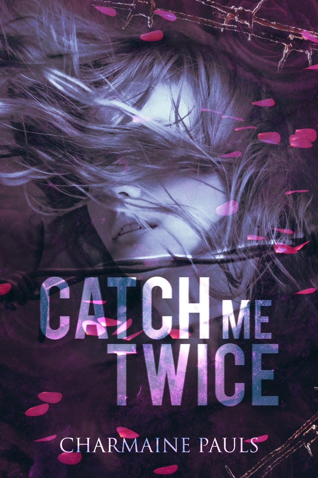 Catch Me Twice book cover