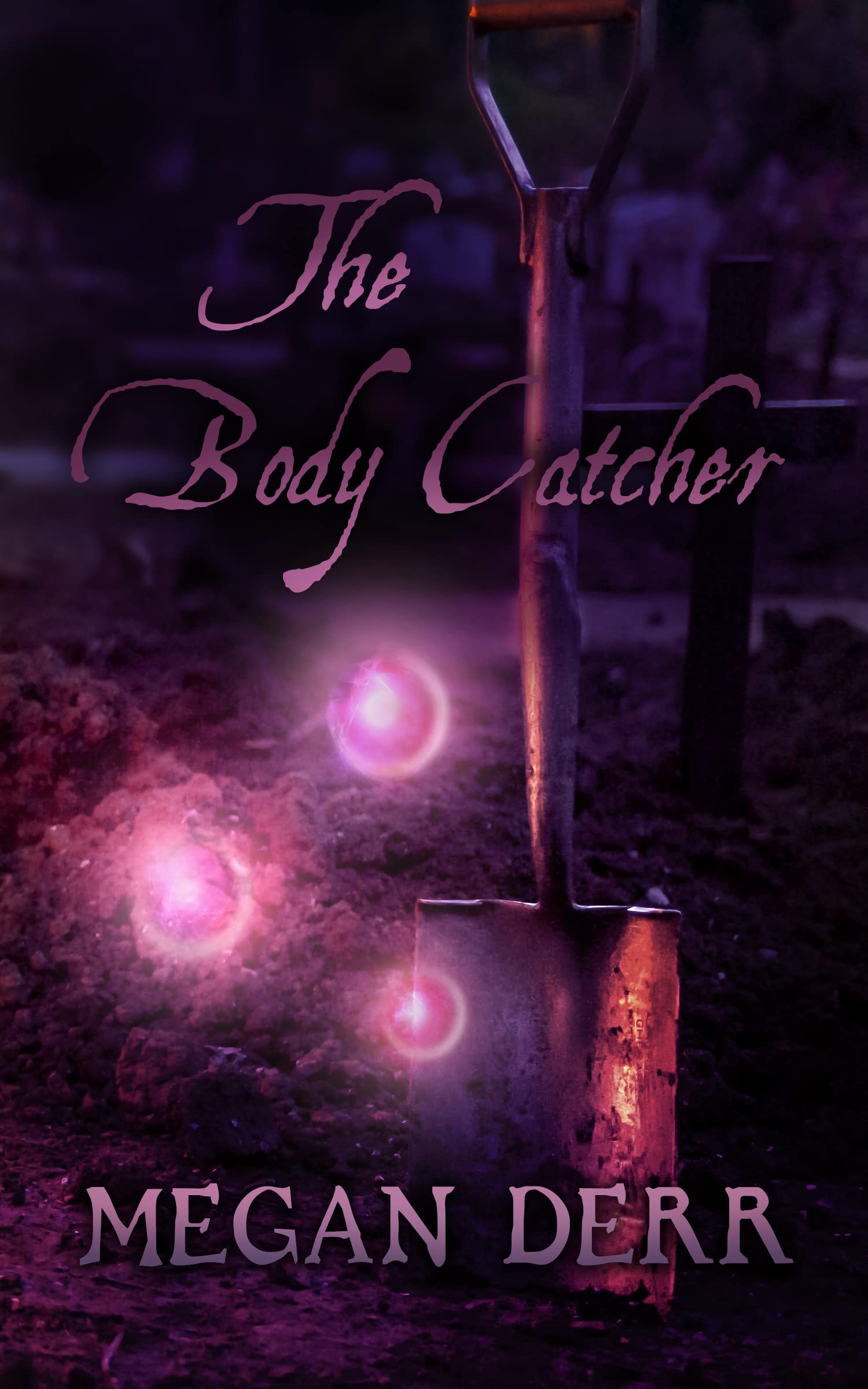 The Body Catcher book cover