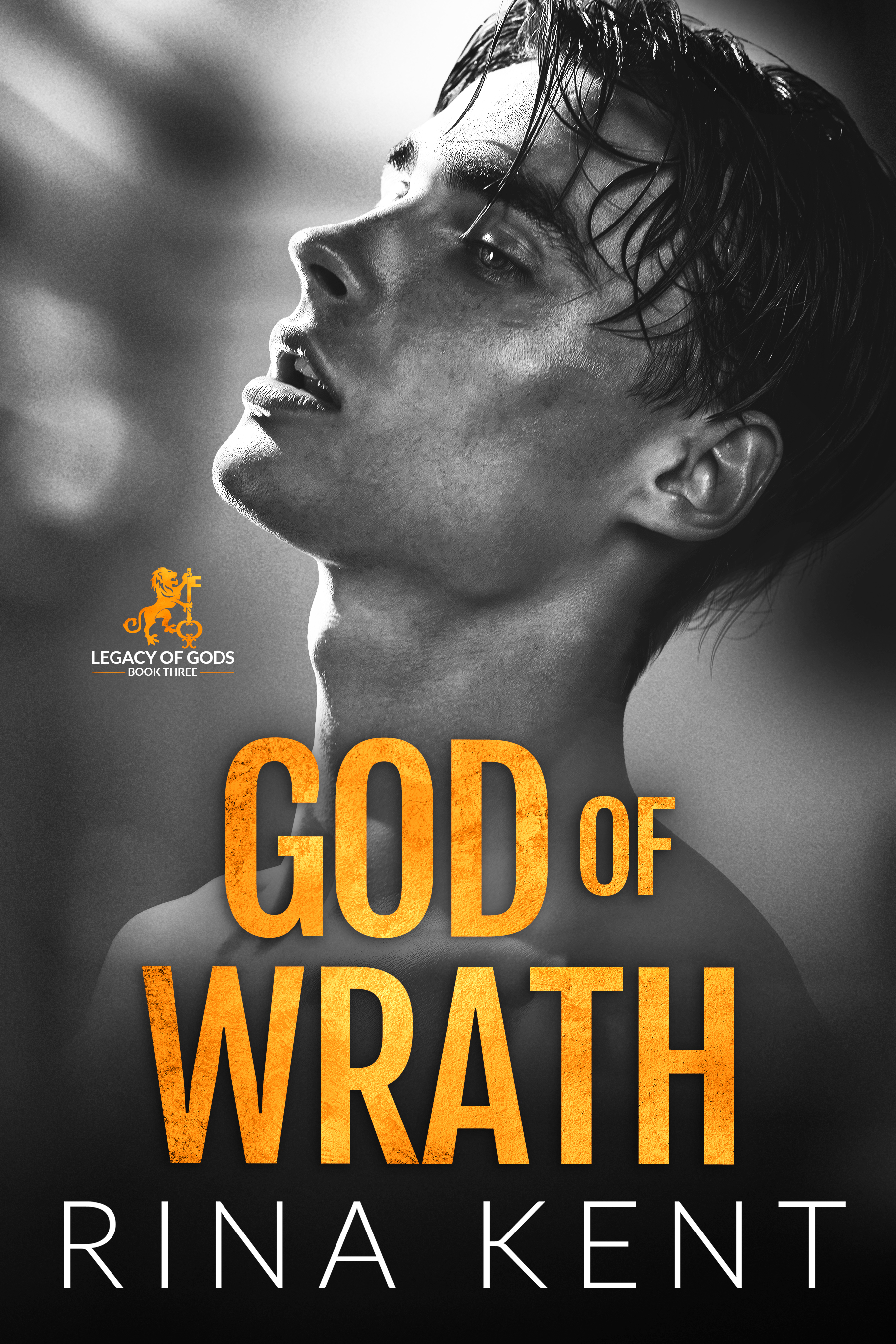 Legacy of Gods book cover 3