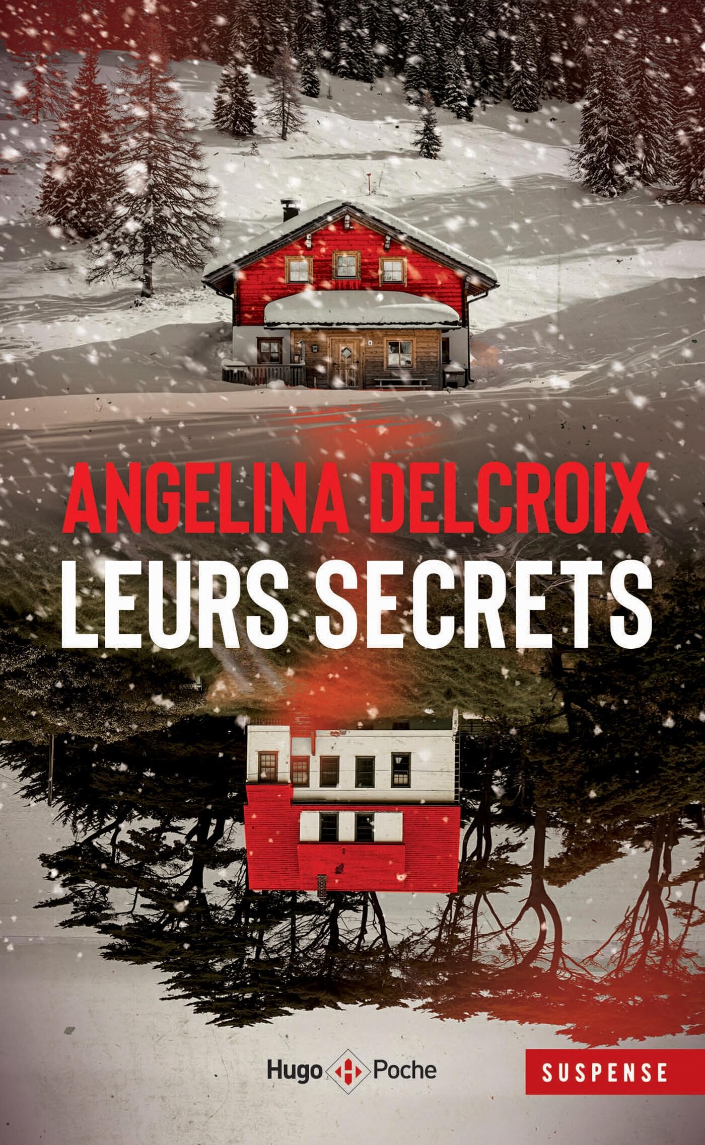 Leurs secrets book cover