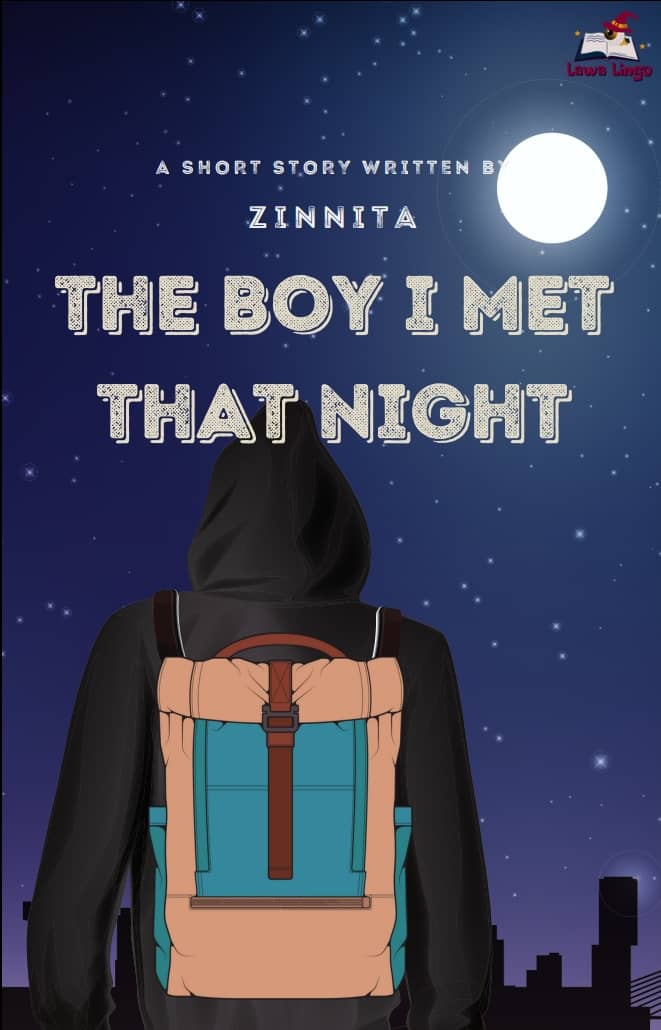 The Boy I Met That Night book cover