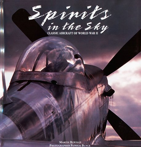Spirits in the Sky book cover