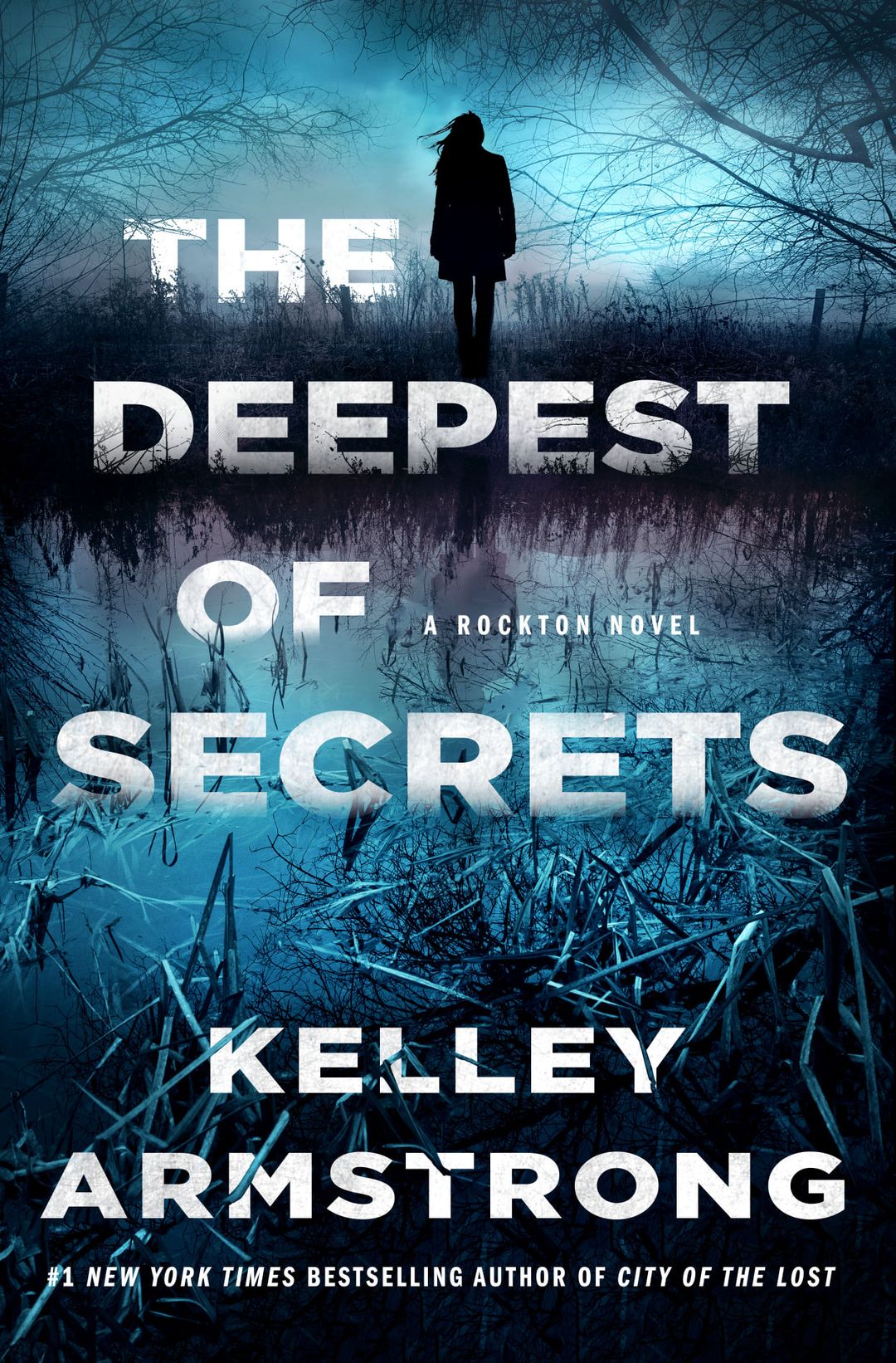 The Deepest of Secrets book cover