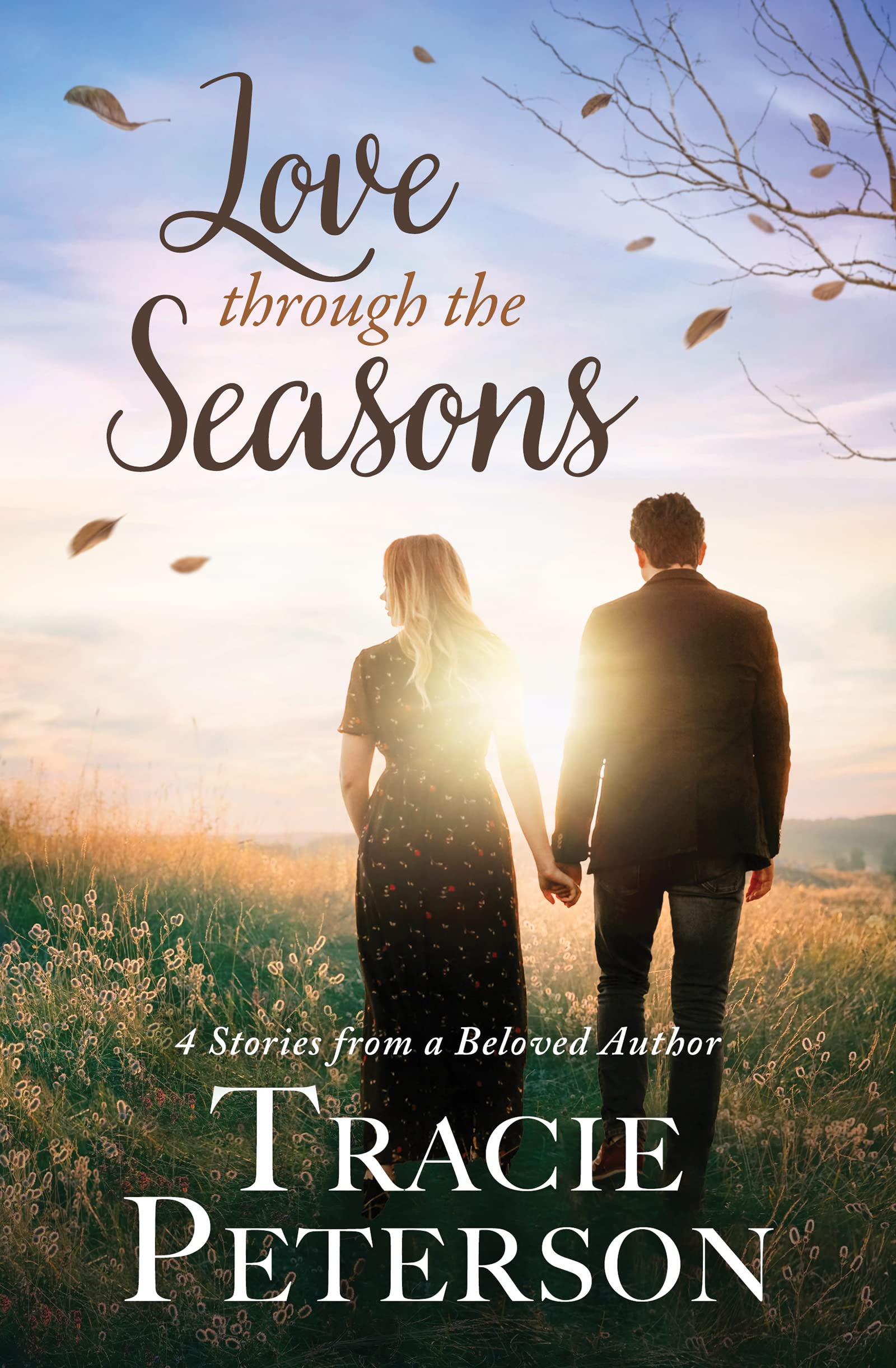 Love Through the Seasons book cover