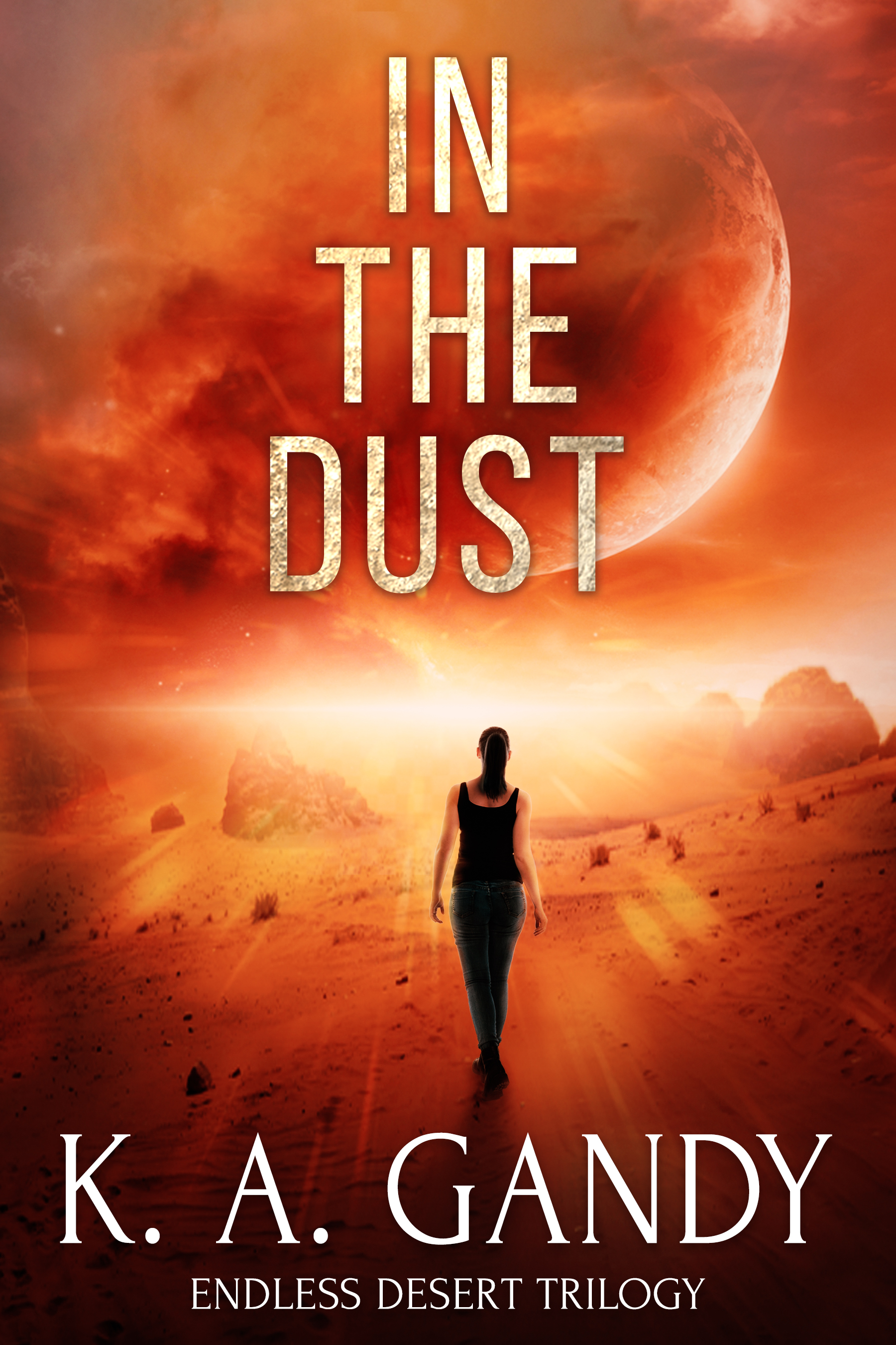 Endless Desert book cover 1
