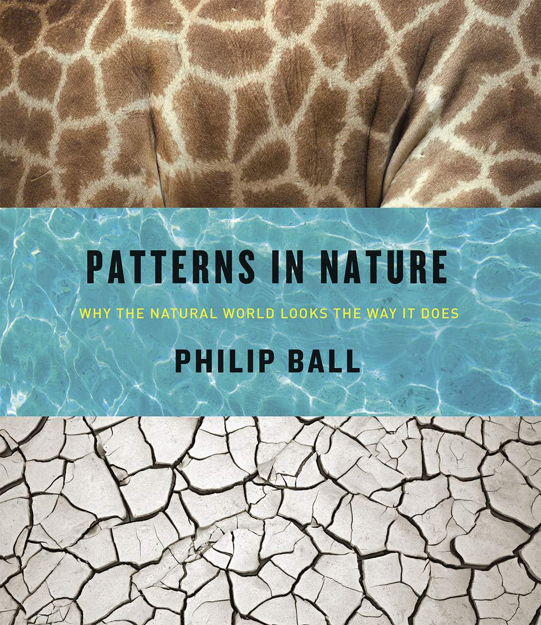 Patterns in Nature book cover