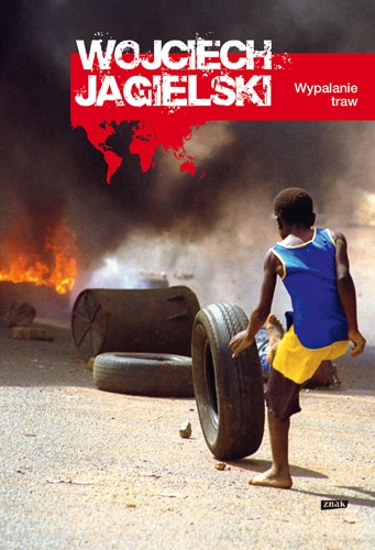 Burning the Grass book cover
