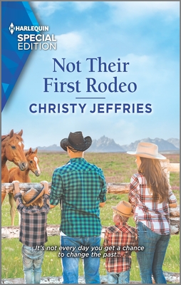 Twin Kings Ranch book cover 3