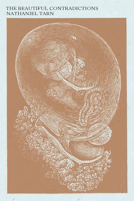The Beautiful Contradictions book cover