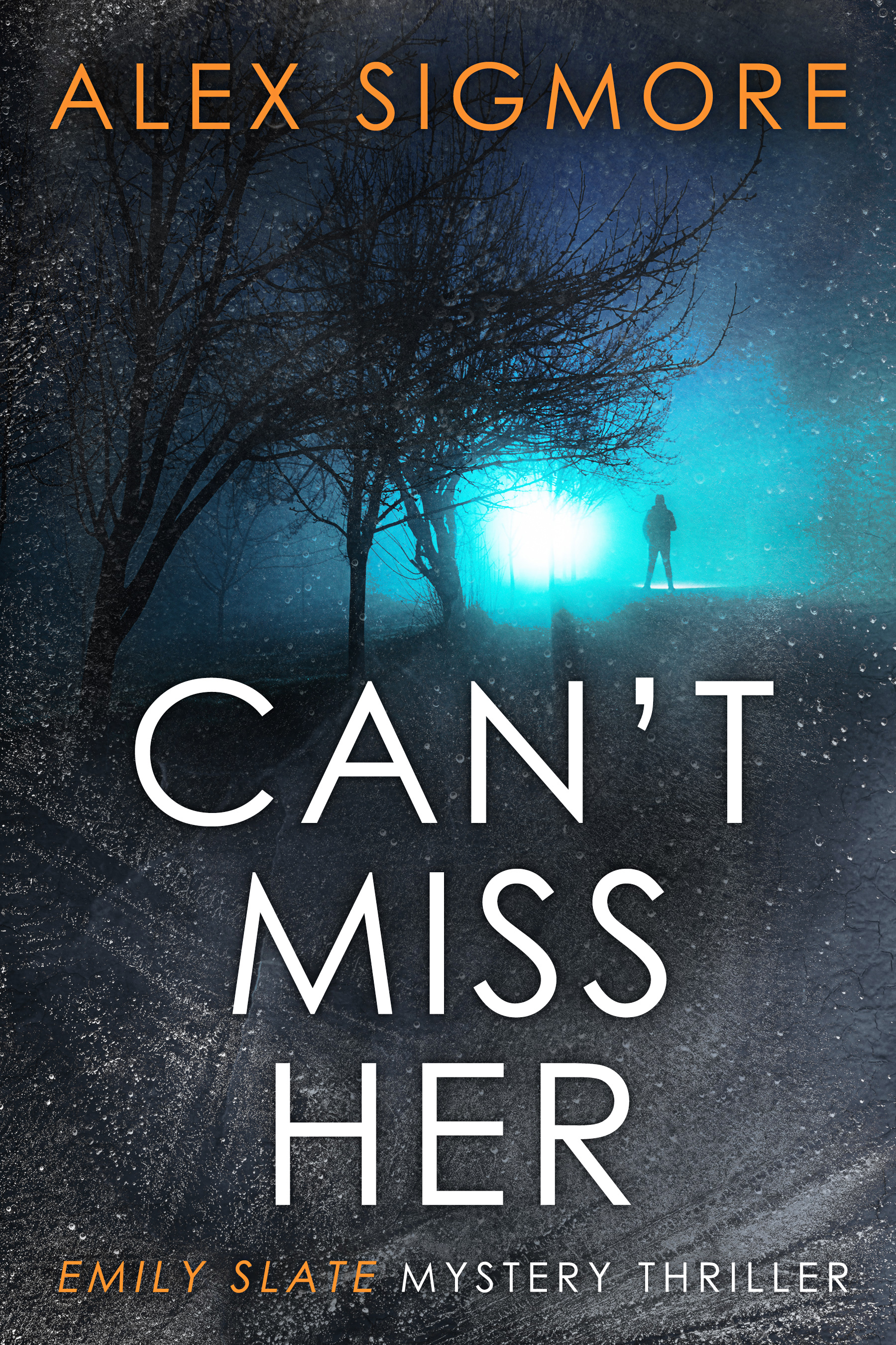 Can't Miss Her book cover
