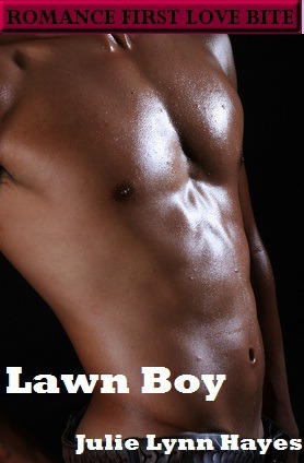 Lawn Boy book cover