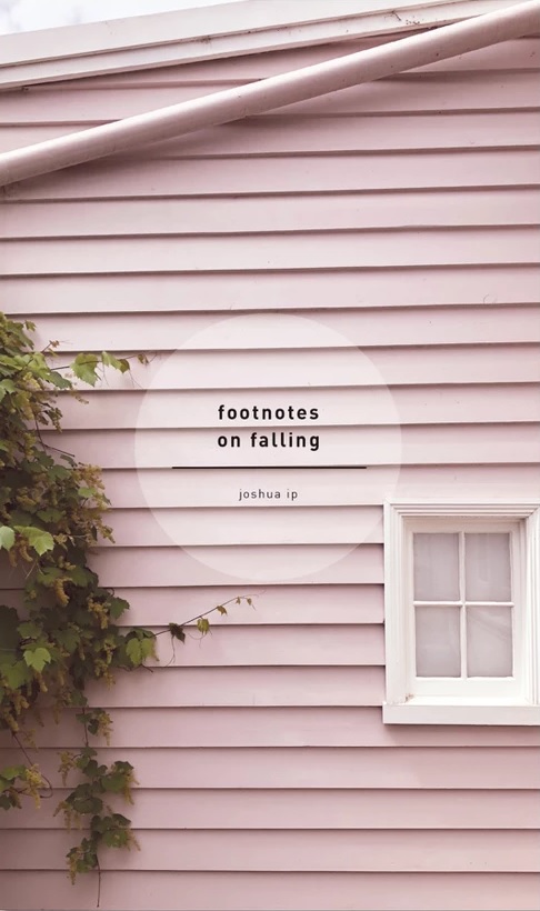 Footnotes on Falling book cover