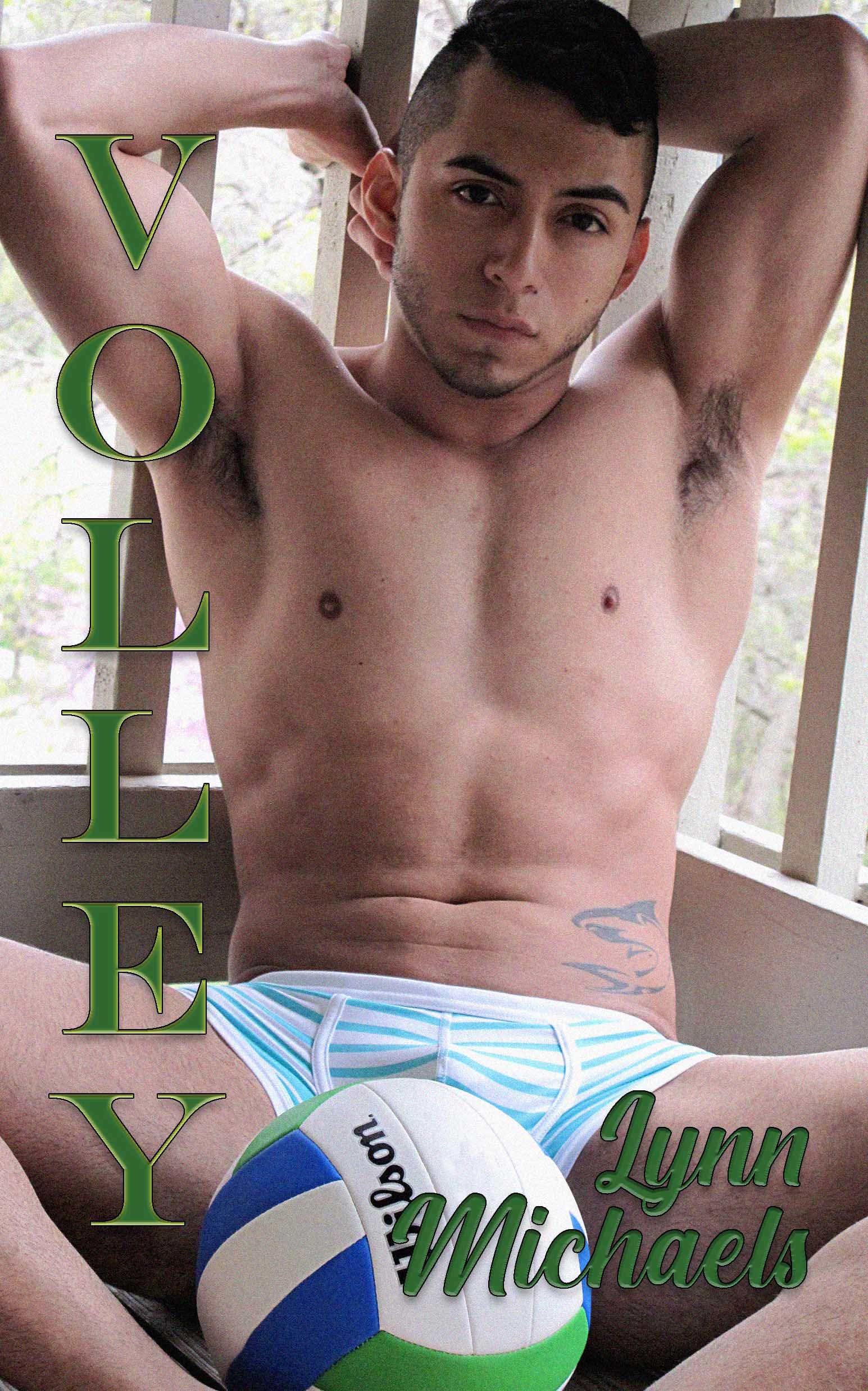 Volley book cover
