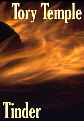 Tinder book cover