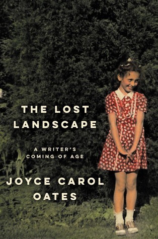 The Lost Landscape book cover