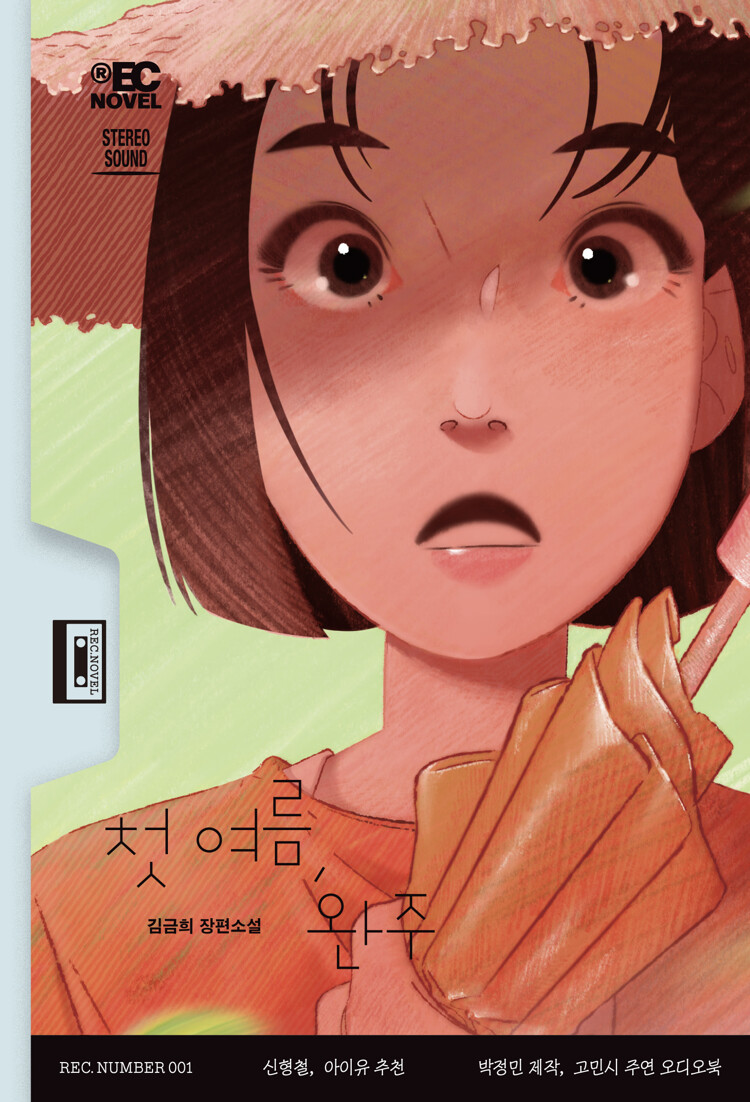 첫 여름, 완주 book cover