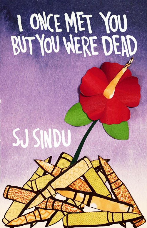 I Once Met You But You Were Dead book cover