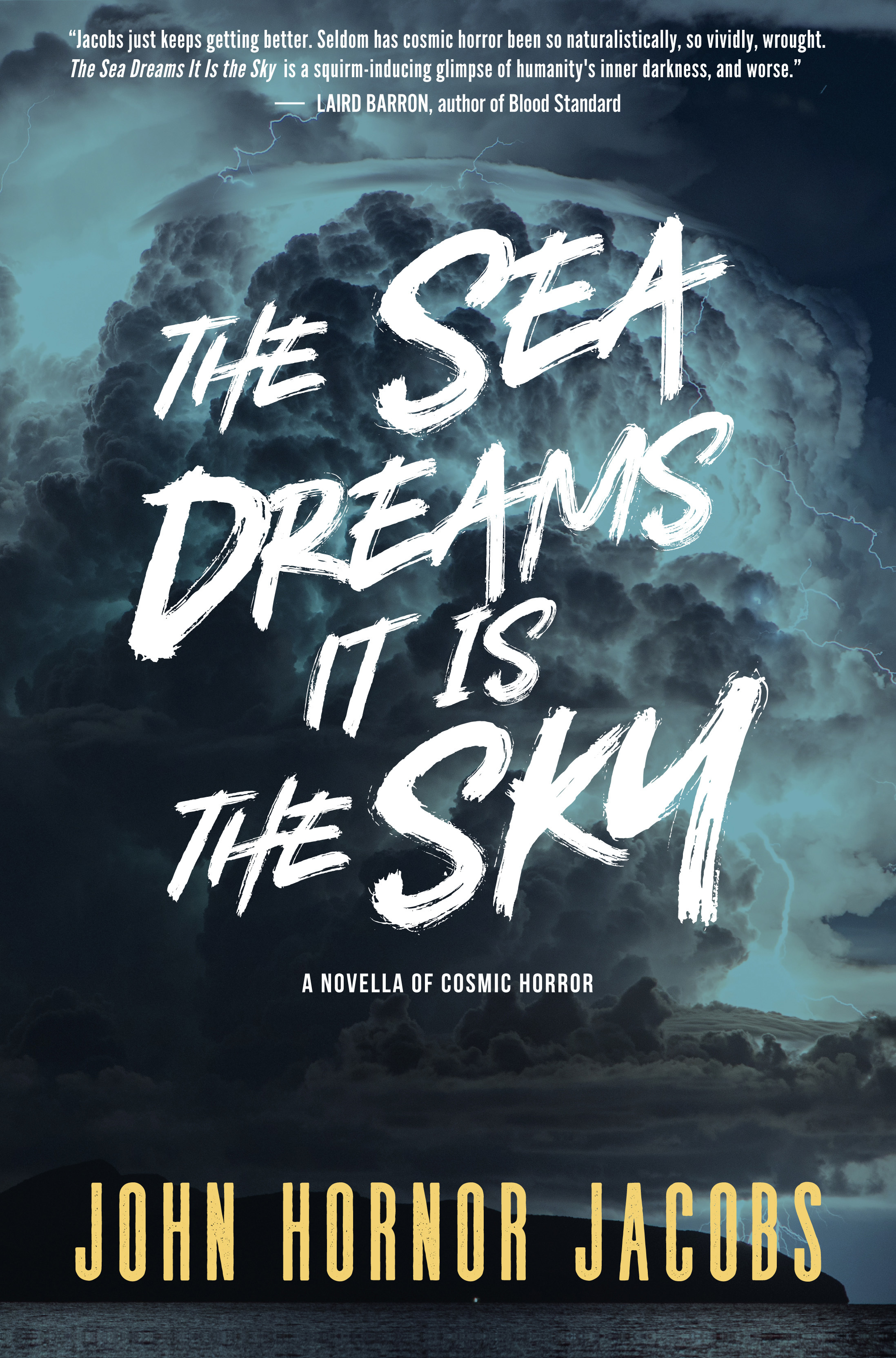 The Sea Dreams It Is the Sky book cover