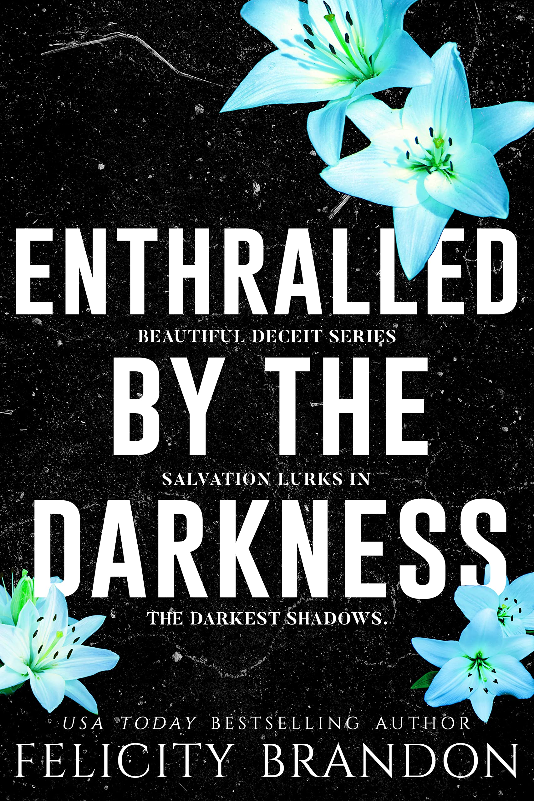 Beautiful Deceit book cover 3