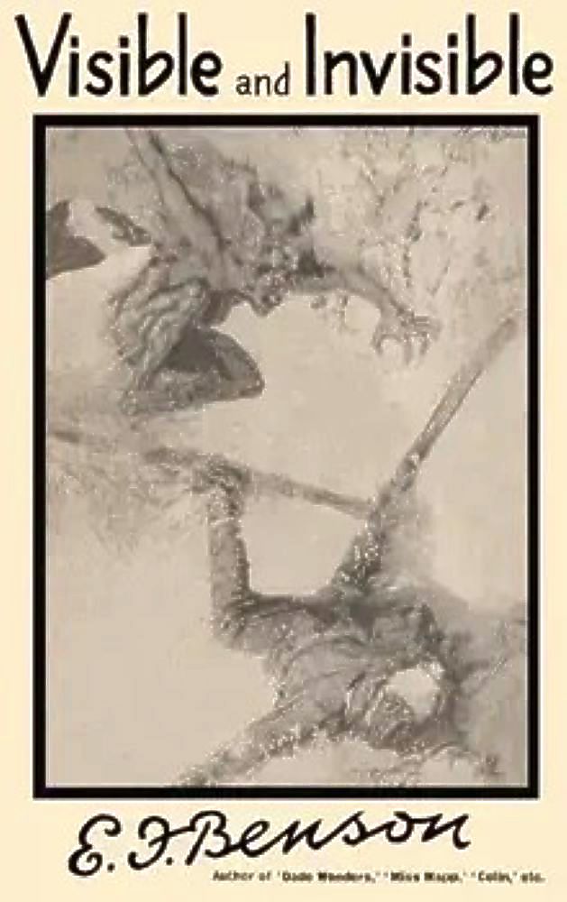 Visible and Invisible book cover