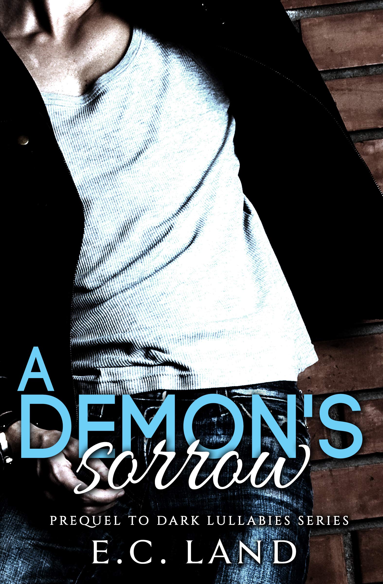 A Demon's Sorrow book cover