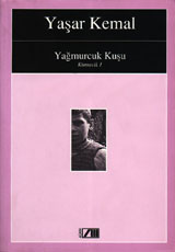 Salman book cover