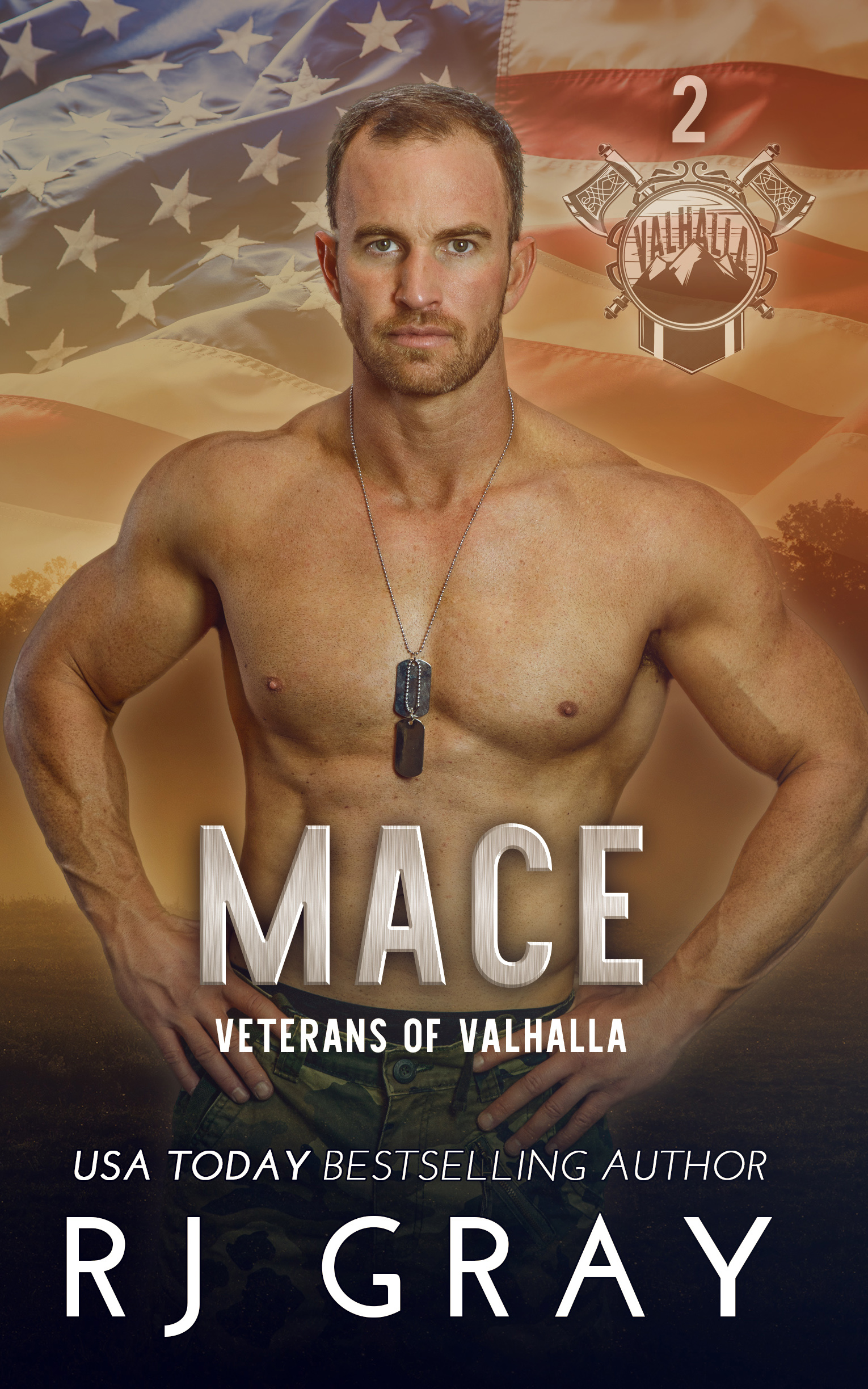 Veterans of Valhalla book cover 2