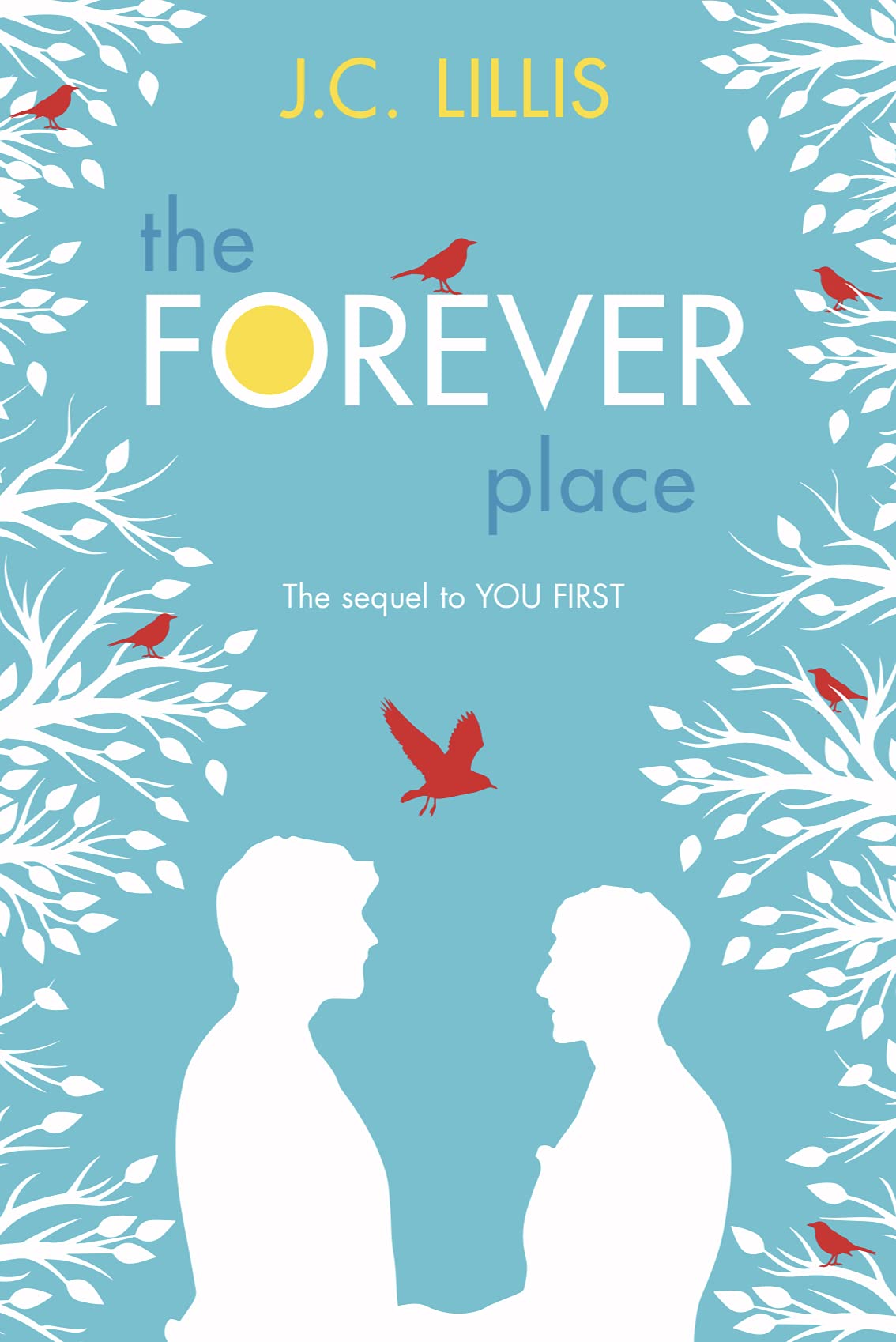 Summerhill Supers book cover 2