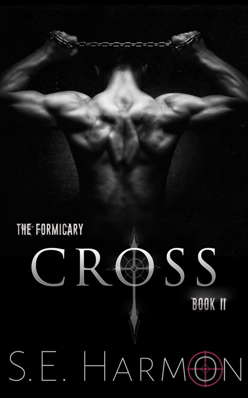 The Formicary book cover 2