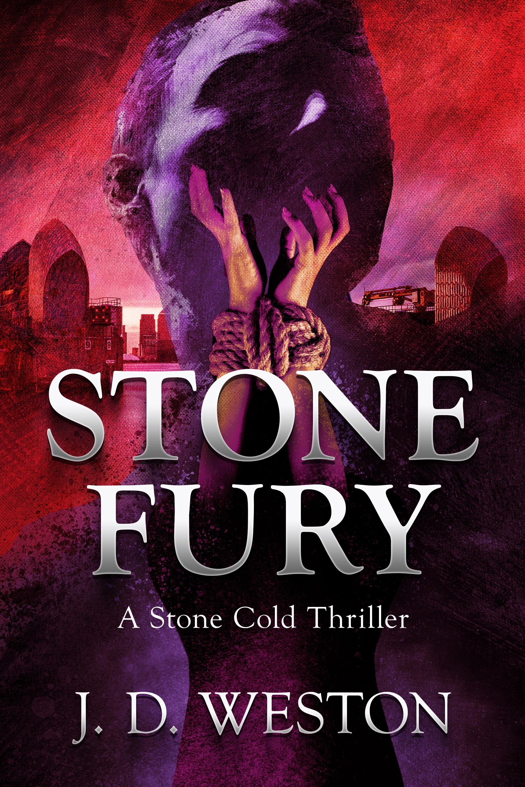 Stone Cold book cover 2