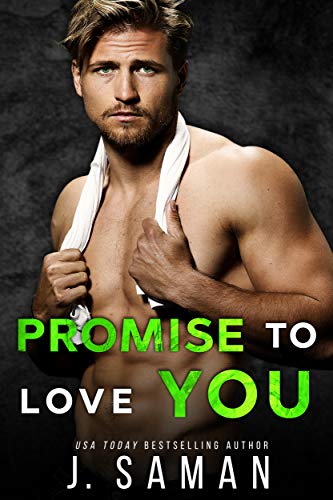 Promise to Love You book cover