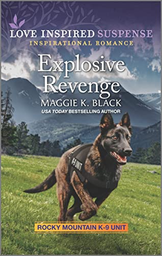 Explosive Revenge book cover