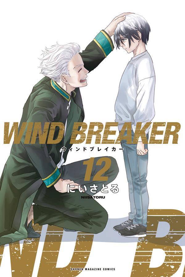 WIND BREAKER 12 book cover