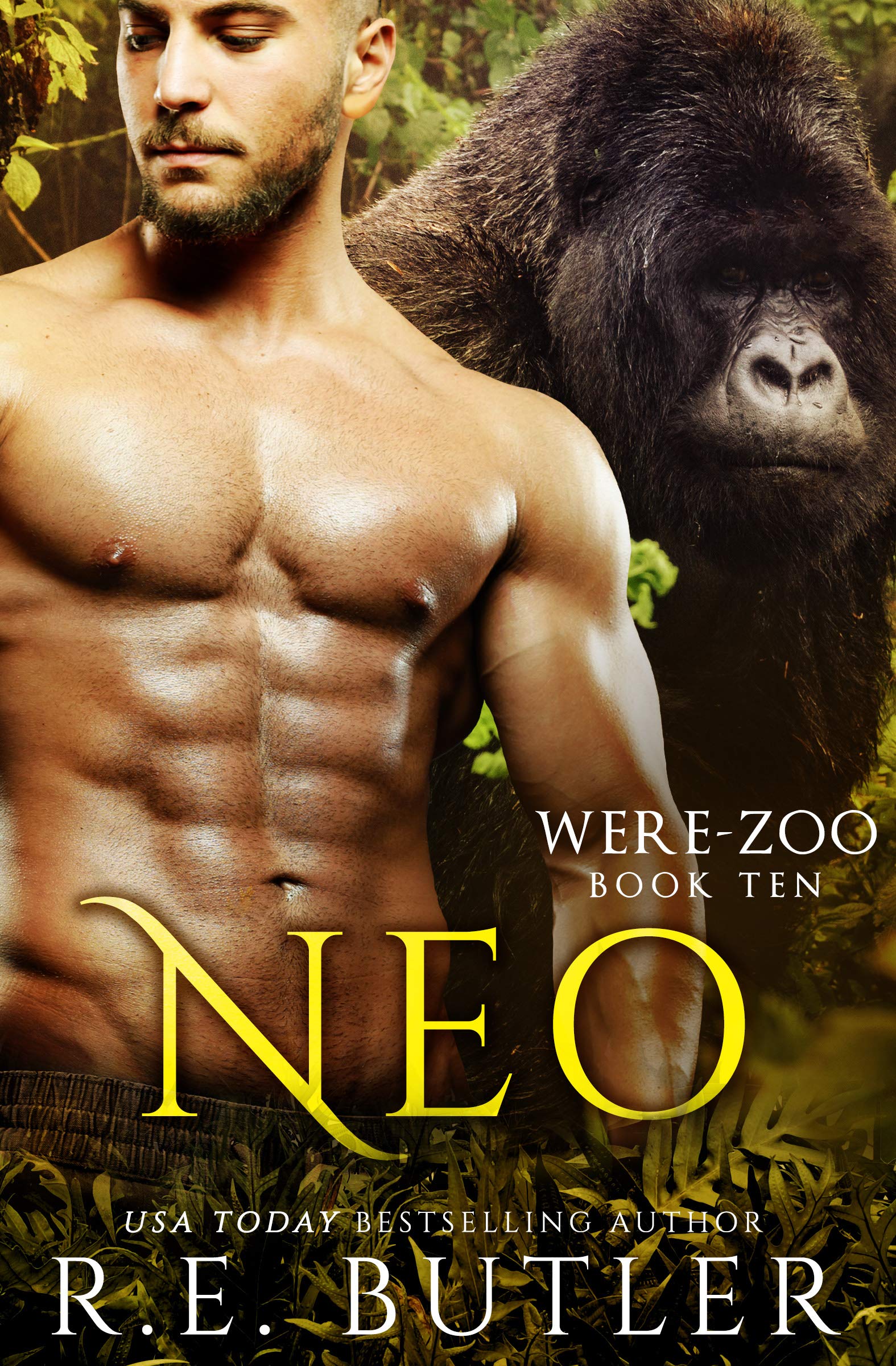 Neo book cover
