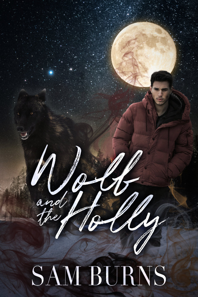 The Rowan Harbor Cycle book cover 2