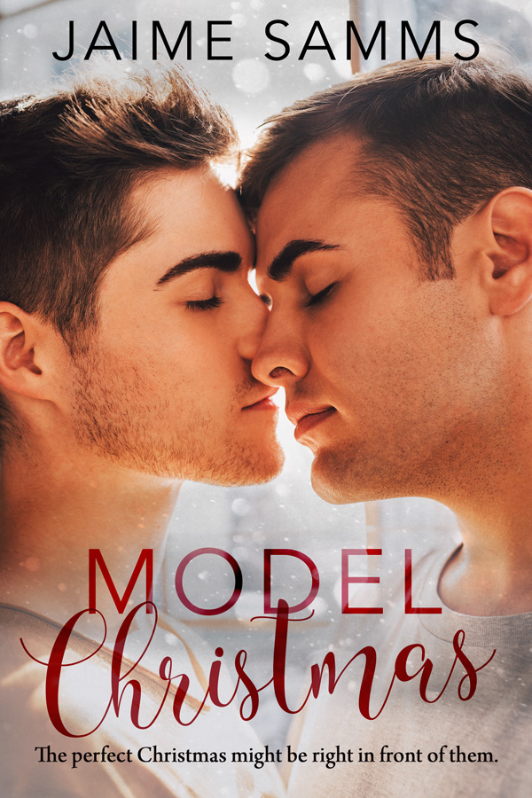 Model Christmas book cover