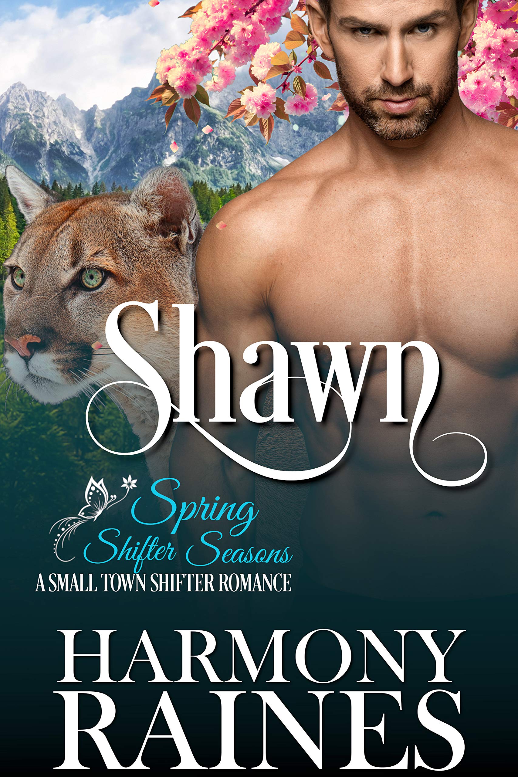 Shawn book cover
