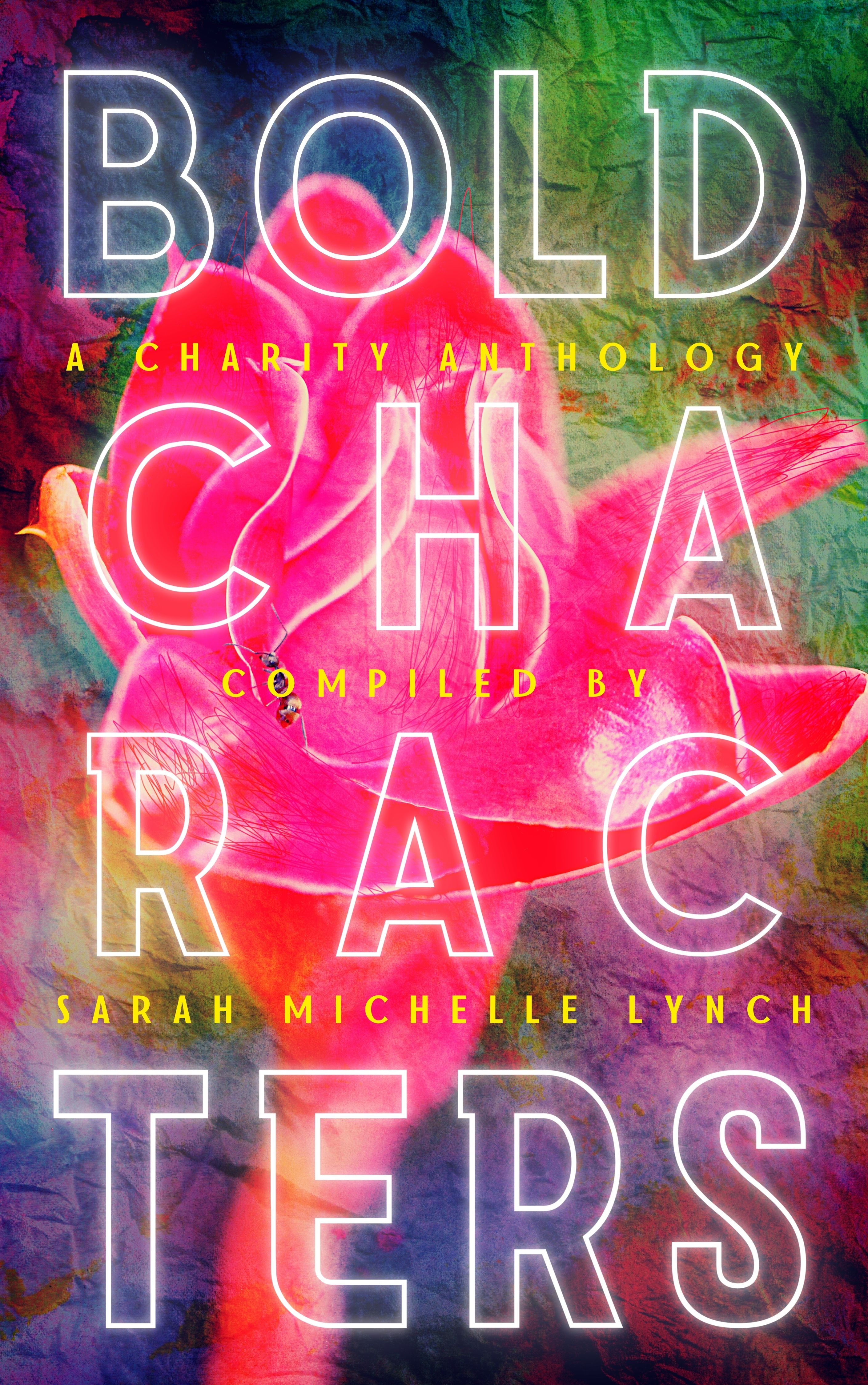 Bold Characters book cover