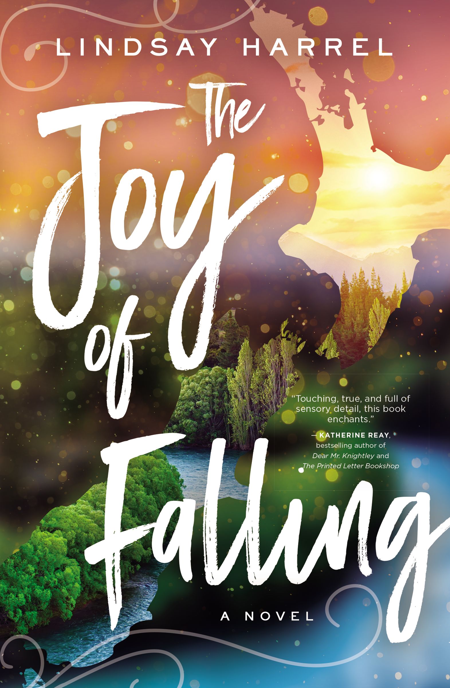 The Joy of Falling book cover