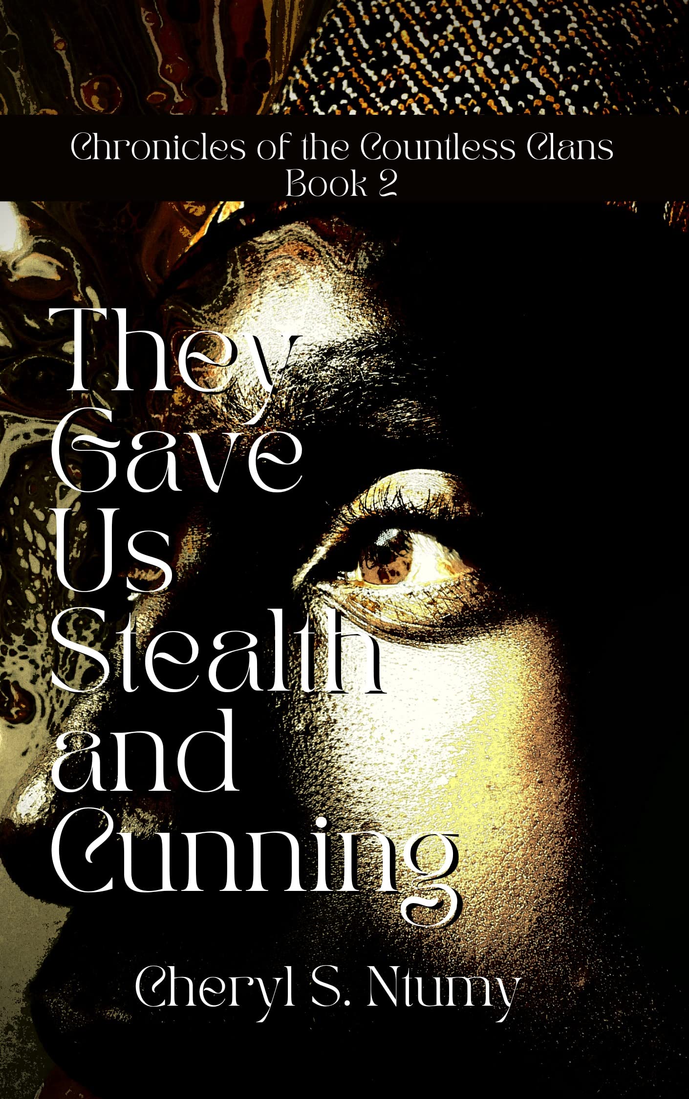 They Gave Us Stealth and Cunning book cover