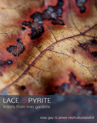 Lace & Pyrite book cover