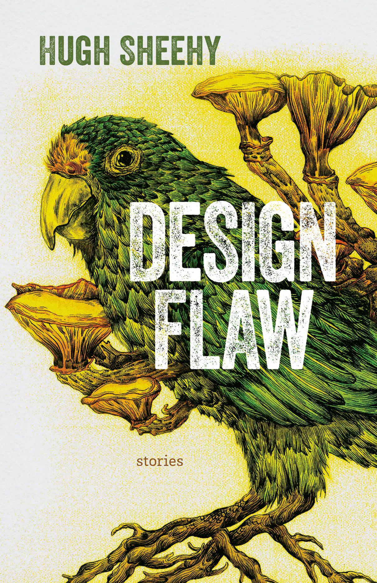 Design Flaw book cover