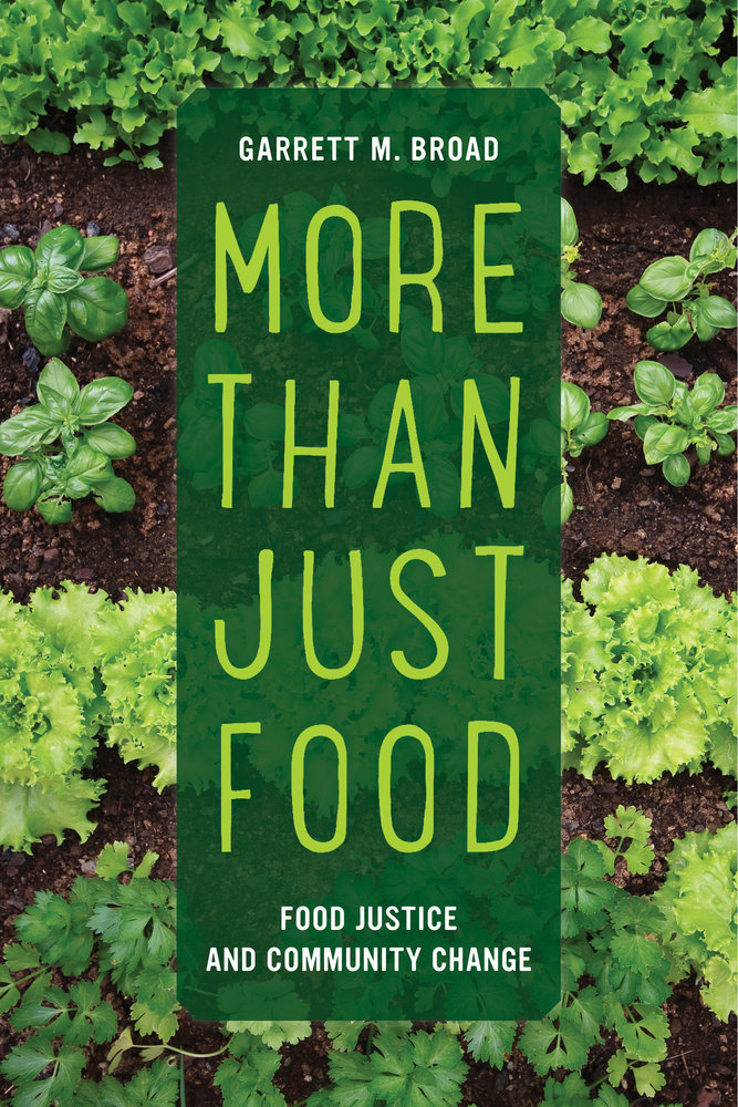 More Than Just Food book cover
